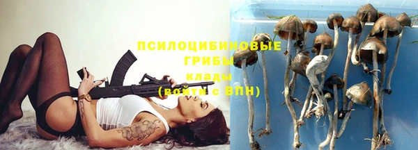 стаф Абаза