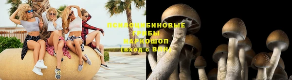 наркотики Алексеевка
