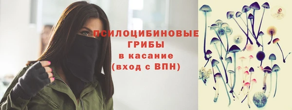 мет Алексин