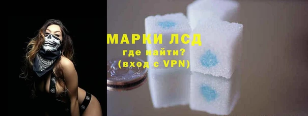 стаф Абаза