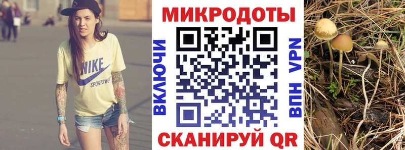 закладки  сайты даркнета наркотические препараты  Псилоцибиновые грибы мухоморы  Духовщина 